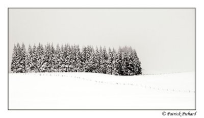 _DSC4368_nb.jpg