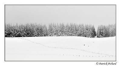_DSC4378_nb.jpg