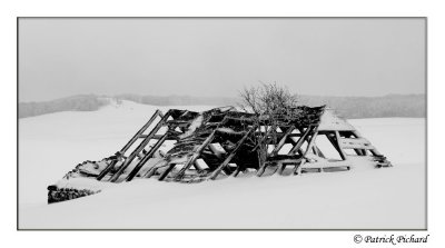 _DSC4391_dark.jpg