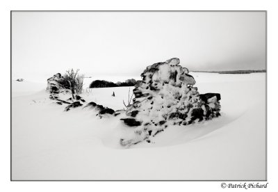 _DSC4395_bw_dark.jpg