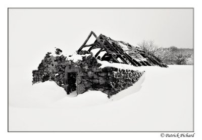 _DSC4396_dense.jpg