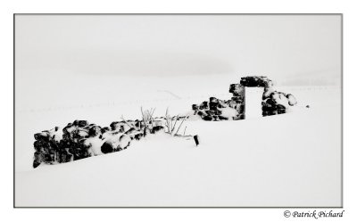 _DSC4405_dark.jpg