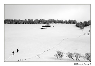 _DSC4480.jpg