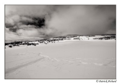 _DSC4510_bw.jpg
