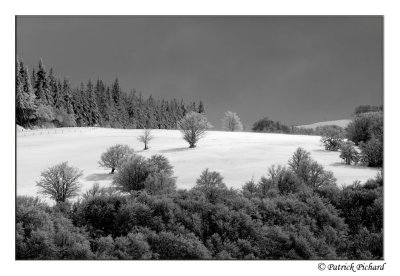 _DSC4561_gris.jpg