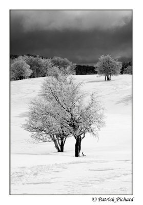 _DSC4588_nb.jpg