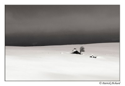 _DSC4597_recadre.jpg