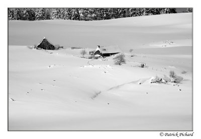 _DSC4601_nb.jpg