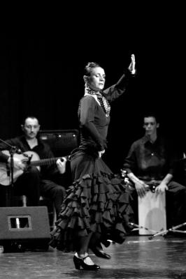 flamencos053nb.jpg