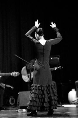 flamencos058nb.jpg