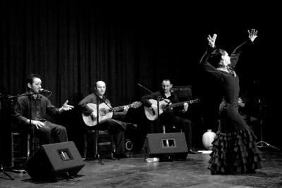 flamencos064nb.jpg