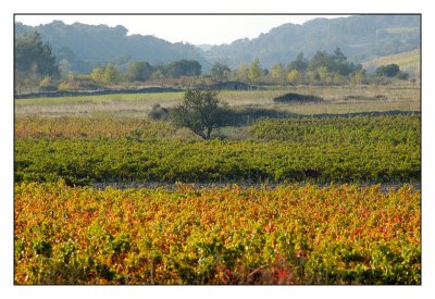 Le village d'Aragon dans l'aude