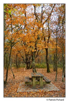 Fort de bouconne  l'automne 2007