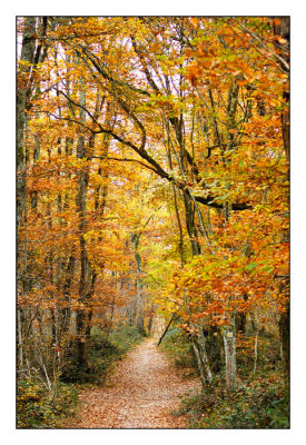 Fort de bouconne  l'automne 2007