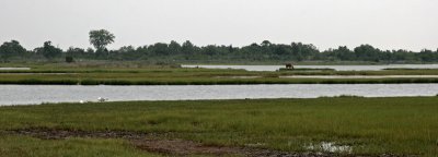 g3/16/487816/3/102579844.BJfrIeW9.jpg