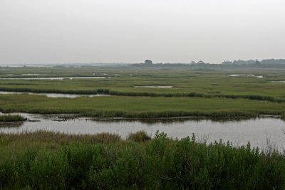 Assateague National Park, Maryland