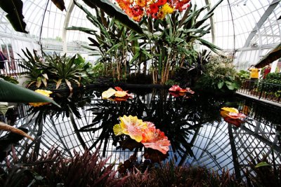 chihuly_at_phipps_2007