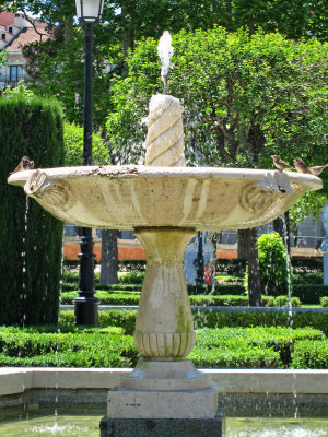 Birds at Plaza de Oriente, Madrid