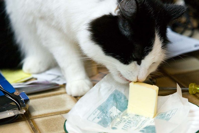 12/12/2009  Butter tastes good