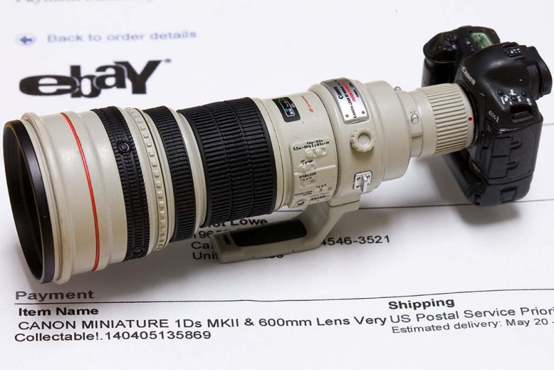 5/17/2010  1/5 scale model of Canon EF 600mm f/4L IS USM and EOS-1Ds Mark II