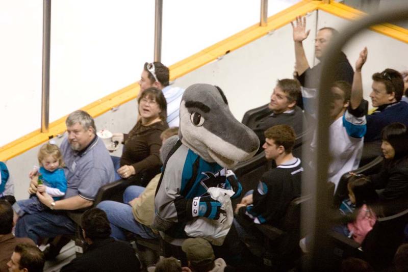 Sharkie is going to give a birthday gift to someone