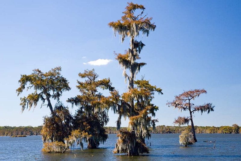 Lake Martin, Louisiana
