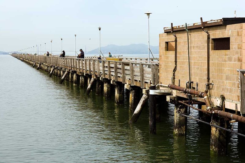 Berkeley Municipal Fishing Pier  4/02/2008