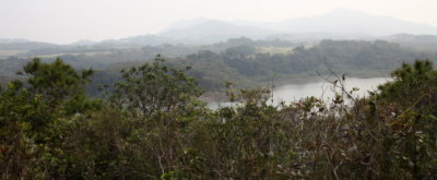 YTC09.JPG