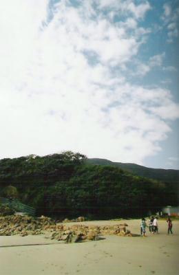 TL04.jpg
