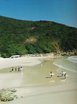 TL06.jpg