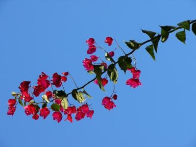 PB004.JPG