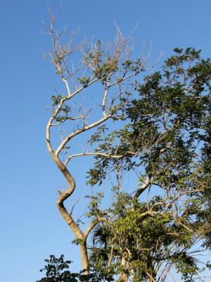 PB005.jpg