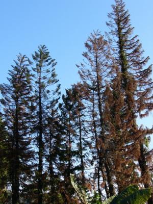 PB009.jpg