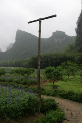 WX06.jpg