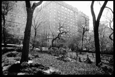 Central Park / Upper West Side
