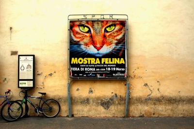 g3/16/557816/3/58279016.Roma246Kopie.jpg