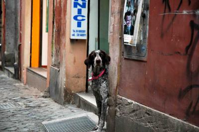 g3/16/557816/3/58694244.Roma475Kopie.jpg