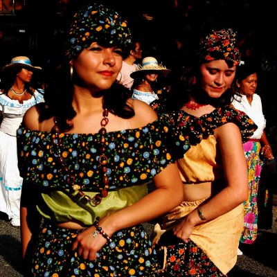 Carnival of Cultures 2006