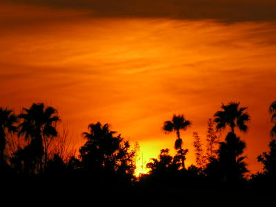 Sunset in Island Adventure Orlando