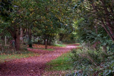 Autumn. Barnwell Country Park, Northampton. UK