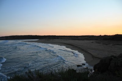 IMG_0830.jpg