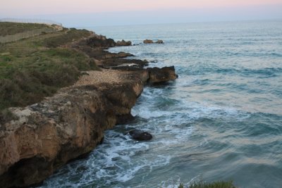 IMG_0833.jpg