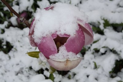IMG_0022.jpg