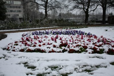 IMG_0026.jpg