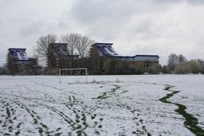 IMG_0036.jpg