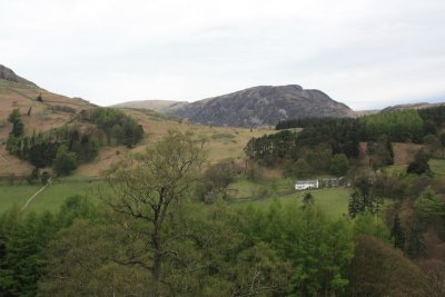 IMG_0165.jpg