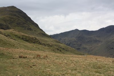 IMG_0174.jpg