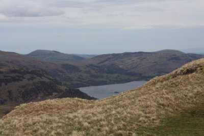 IMG_0175.jpg