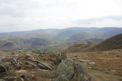 IMG_0182.jpg