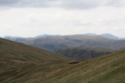 IMG_0192.jpg